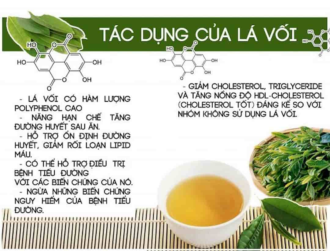 Tác dụng chữa bệnh của lá vối