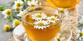 Trà hoa cúc – Thức uống thơm ngon và bổ dưỡng cho sức khỏe Sau khi vận động có thể bổ sung trà làm từ hoa cúc