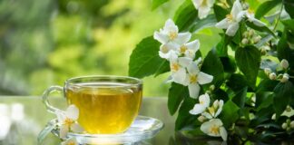 Trà lài – Thức uống dân dã và nho nhã đến từ thiên nhiên Món trà tuyệt phẩm phổ biến tại Việt Nam từ rất lâu