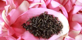 Trà sen có công dụng gì ? Cách pha như thế nào cho chuẩn vị? Trà sen là thức uống hảo hạng để dâng lên nhà vua