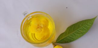 Trà hoa vàng: Bật mí về công dụng của trà với sức khỏe Trà hoa vàng loại cây quý hiếm