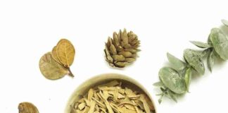 Trà mãng cầu – “Thần dược” thiên nhiên tốt cho sức khỏe Trà mãng cầu được làm từ lá hoặc là lá cây mãng cầu xiêm