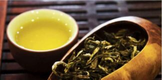 Trà Shan Tuyết – Thức uống đặc sắc đến từ vùng Tây Bắc Trà Shan Tuyết là một loại trà thuộc dòng trà xanh ở Tây Bắc