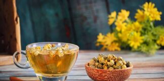 Lợi ích của trà thảo mộc trong việc hỗ trợ chữa bệnh Lợi ích của trà thảo mộc trong việc hỗ trợ chữa bệnh