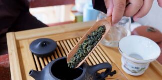 Trà đen dùng để làm gì? Những điều chưa biết về trà đen Trà đen dùng để làm gì? Những điều chưa biết về trà đen