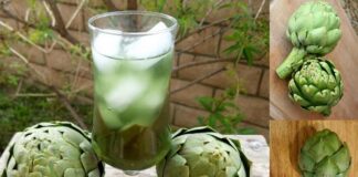 Cách dùng trà Atiso mang lại hiệu quả tốt nhất cho sức khỏe Cách dùng trà Atiso mang lại hiệu quả tốt nhất cho sức khỏe