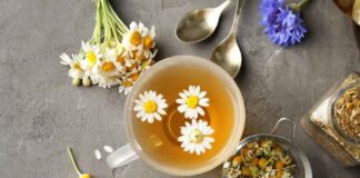 Top trà thảo mộc tốt cho sức khỏe con người và tinh thần Top trà thảo mộc tốt cho sức khỏe con người và tinh thần