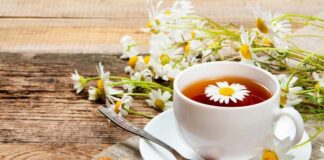 Trà bồ công anh có lợi gì đối với sức khỏe tinh thần Trà bồ công anh có lợi gì đối với sức khỏe tinh thần, thể trạng