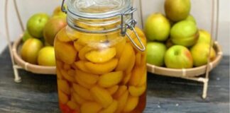 Bí quyết cách làm đào ngâm giòn ngon, mát lạnh ăn cực đã Cách làm đào ngâm