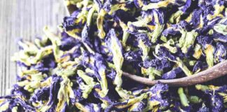 Tác dụng phụ và tác hại của hoa đậu biếc khi dùng sai cách Tác hại của hoa đậu biếc