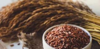 Gạo lứt bao nhiêu calo? Lưu ý khi sử dụng để an toàn Gạo lứt bao nhiêu calo? Lưu ý khi sử dụng để an toàn