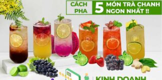 5 Cách pha trà chanh kinh doanh ngon nhất, siêu lợi nhuận Cách pha trà chanh kinh doanh siêu ngon