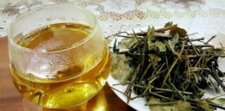 5 công dụng của chè vằng đối với sức khỏe và làm đẹp 5 công dụng của chè vằng đối với sức khỏe và làm đẹp