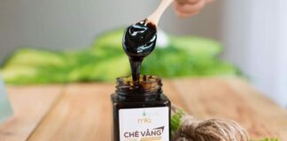 Top 7 Cao chè vằng lợi sữa, tốt cho sức khỏe nhất hiện nay Top 7 Cao chè vằng lợi sữa, tốt cho sức khỏe nhất hiện nay