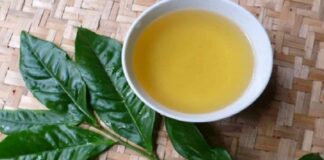 3 tác hại của lá vối nếu uống sai cách, sai thời điểm bạn nên biết 3 tác hại của lá vối nếu uống sai cách, sai thời điểm bạn nên biết