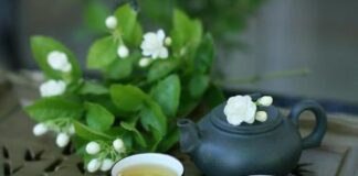 Hãy khám phá những loại trà lài nổi tiếng nhất Việt Nam! Các loại trà lài nổi tiếng