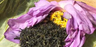 Tìm hiểu những công dụng của trà sen? tại sao nên uống Công dụng của trà sen